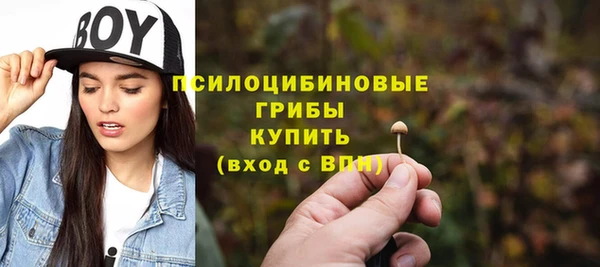 гидра Алзамай