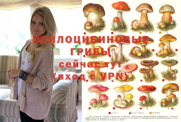 гидра Алзамай