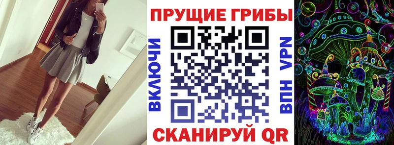 Галлюциногенные грибы Magic Shrooms Волжский